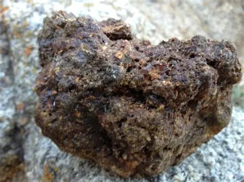 A piece of raw Mongolian shilajit resting on stone